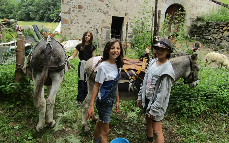 Randonnée avec les ânes